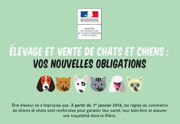 01 16 Chien Et Chat Faxinfo