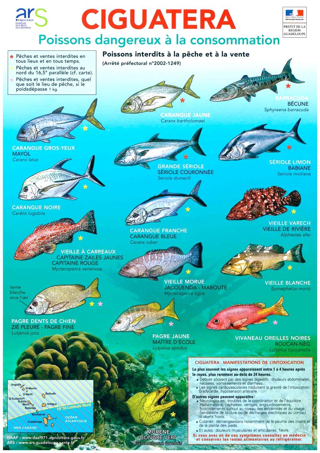 vissen zijn gevaarlijk om te eten -
